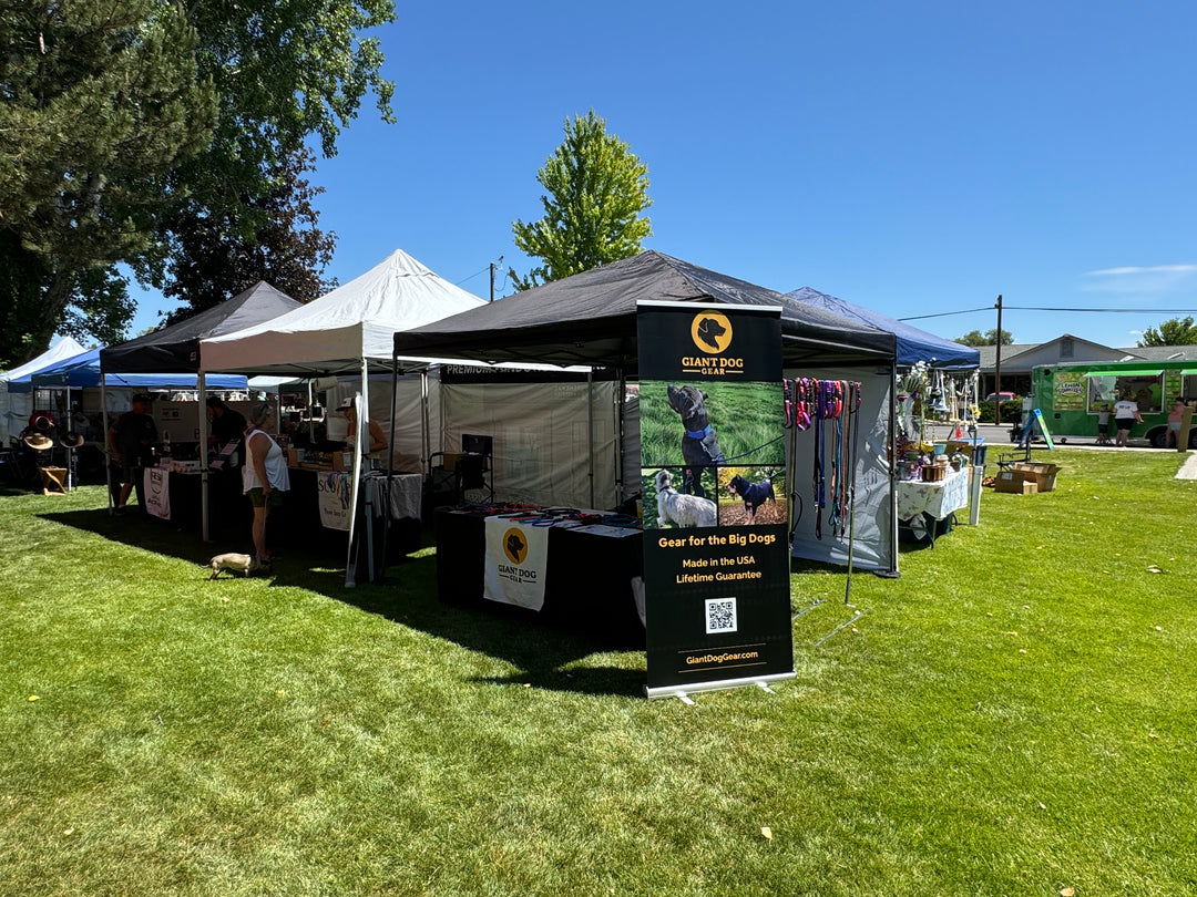 Giant Dog Gear: All Around Oregon in the Early Summer!