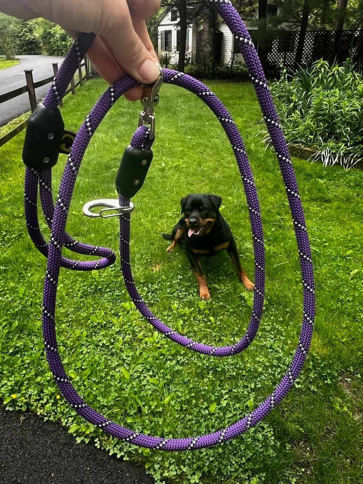 Purple Rope Wrap Dog Leash Harness Leash Rottweiler