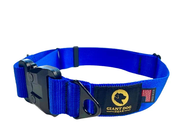 Dog Collars for Large, Giant & Small Dogs | Giant Dog Gear