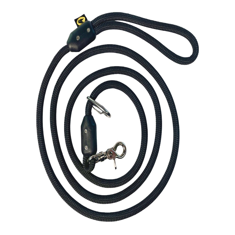 Large dog leash best sale