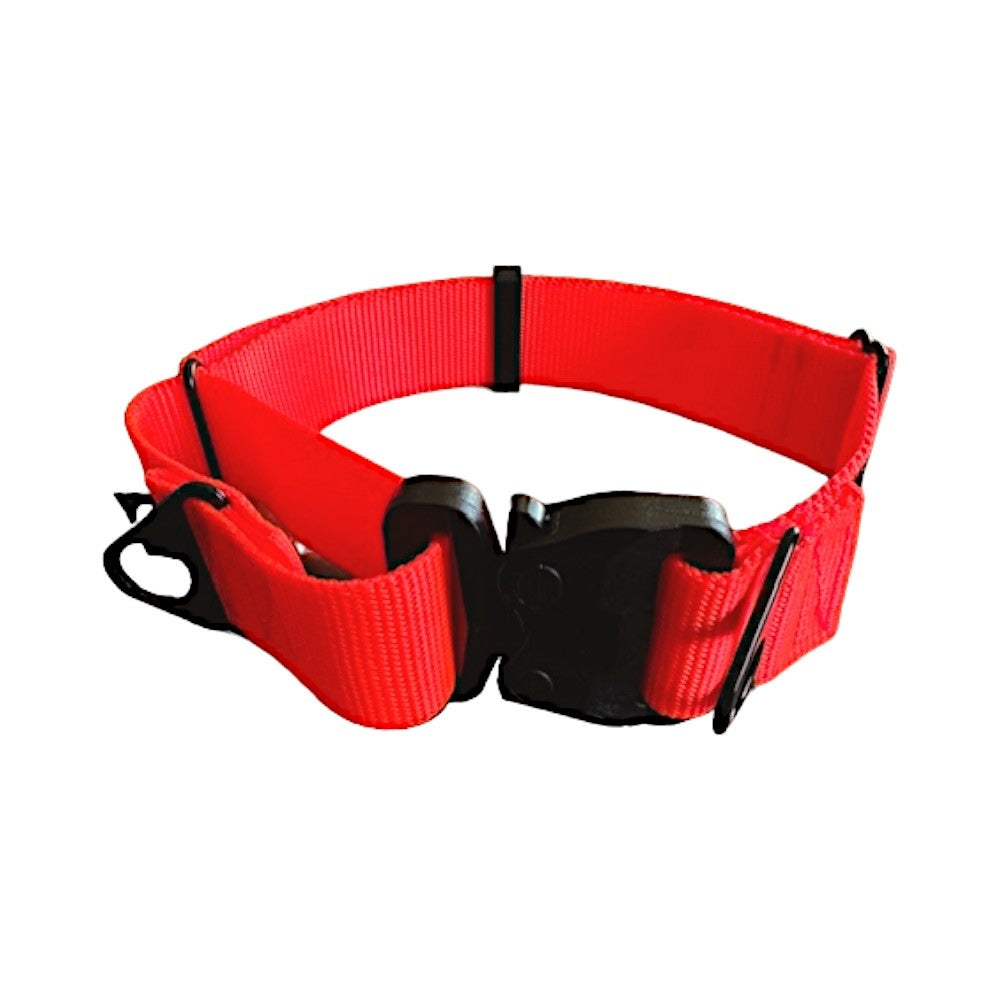 Blaze Orange Martingale Dog Collar Cobra Buckle Collar for Large Dogs