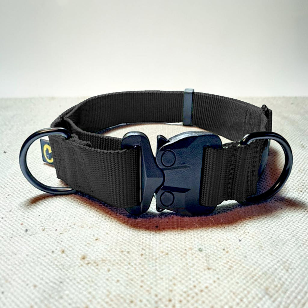 Red martingale dog collar with metal buckle on a textured surface