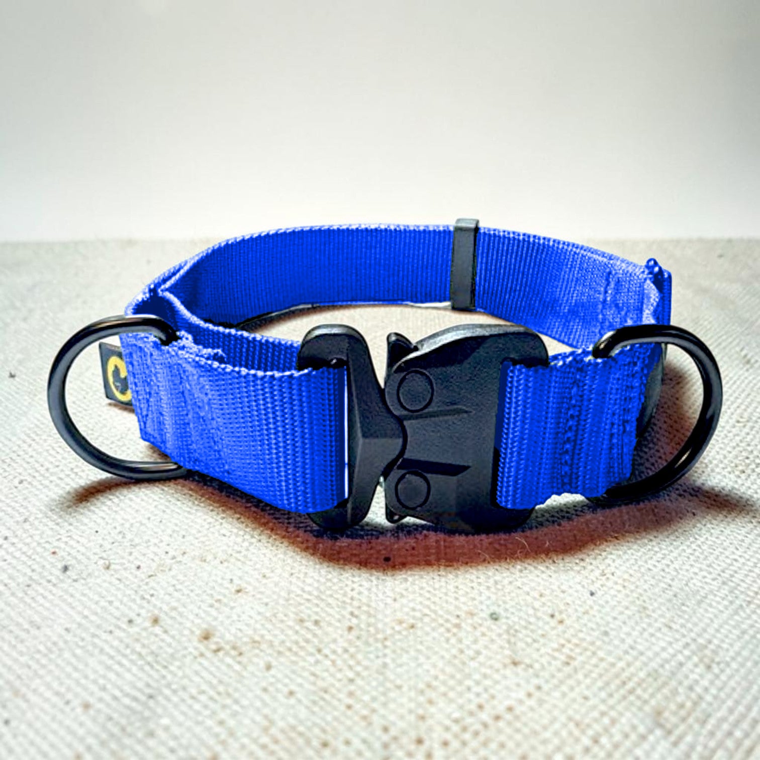 Blue martingale dog collar with black hardware on a textured surface