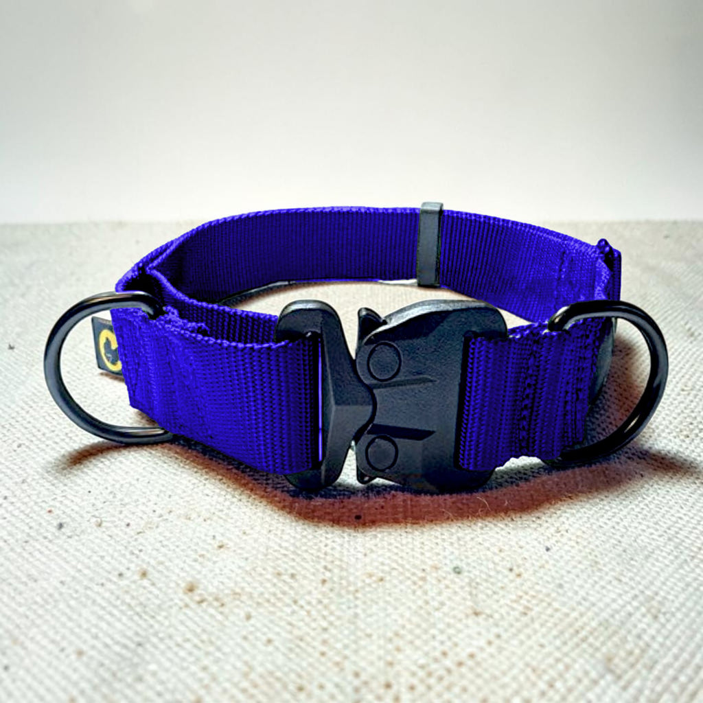 Navy blue martingale dog collar with black hardware on a beige fabric background
