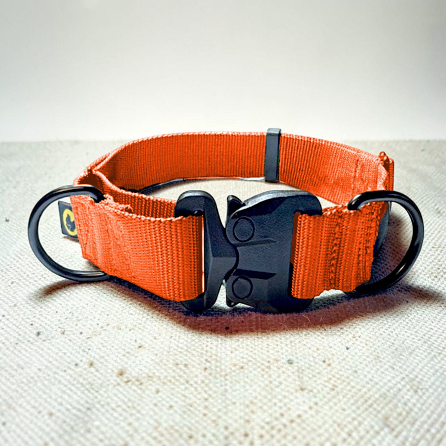 Orange martingale dog collar with black hardware on a textured surface
