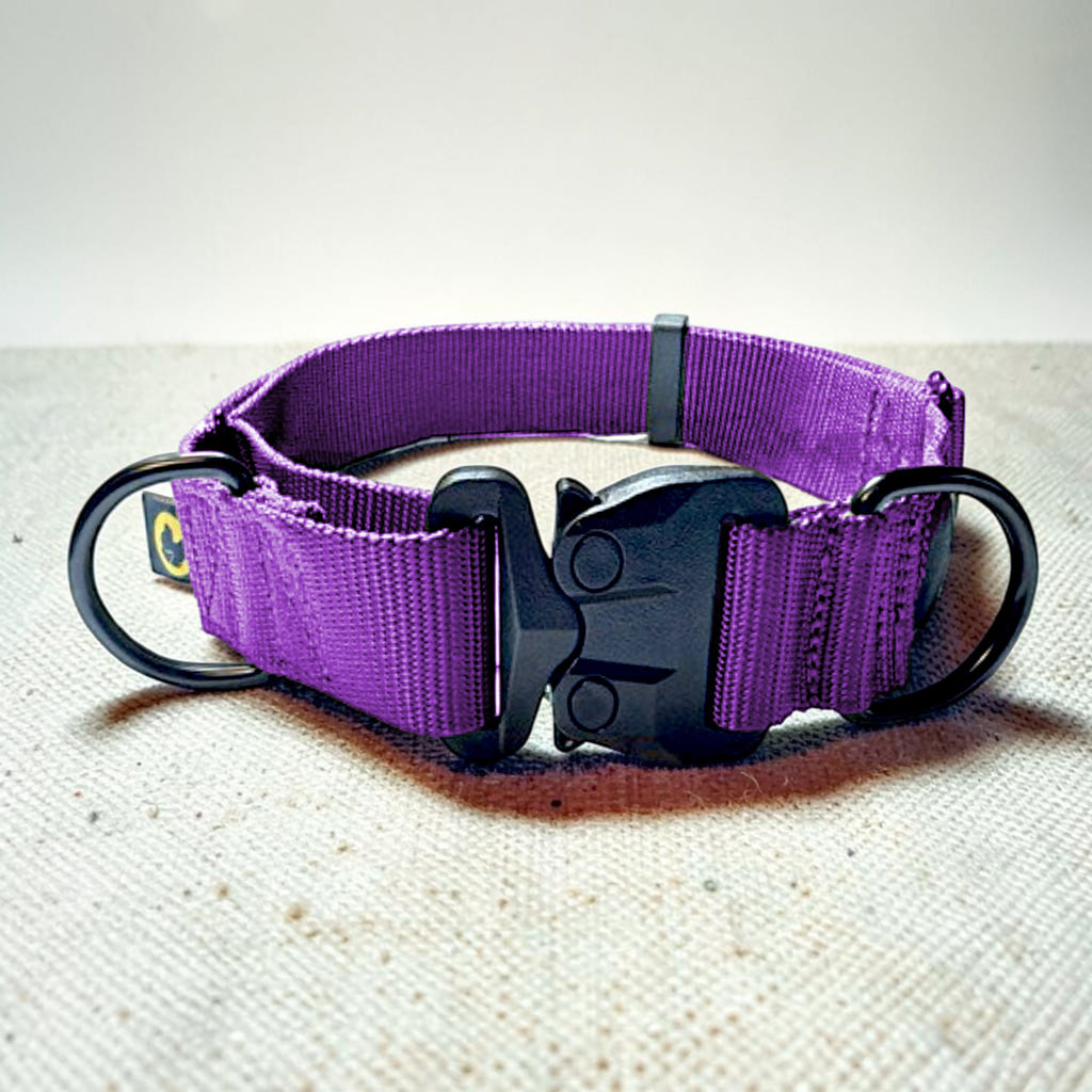 Purple martingale dog collar with black hardware on a textured surface