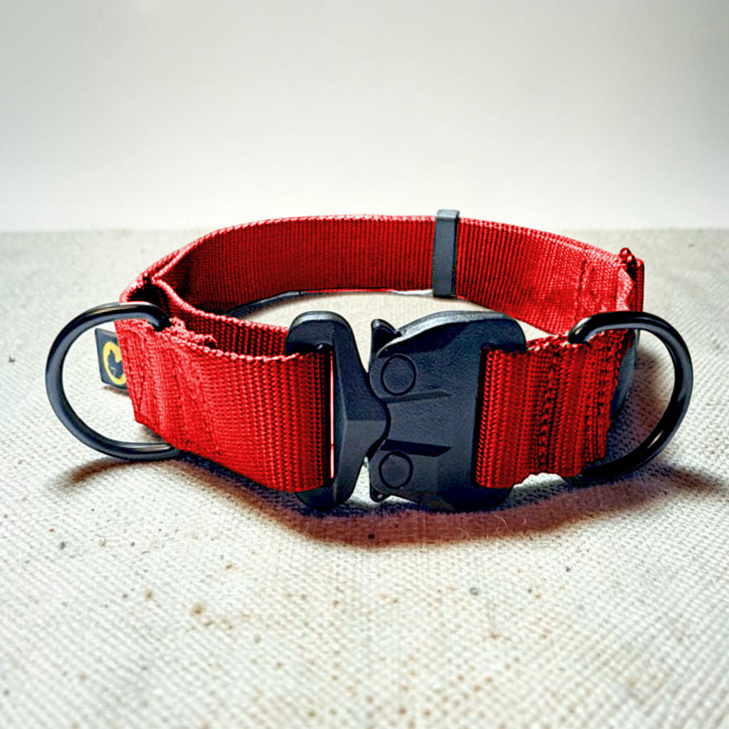 Red martingale dog collar with black buckle on a textured surface