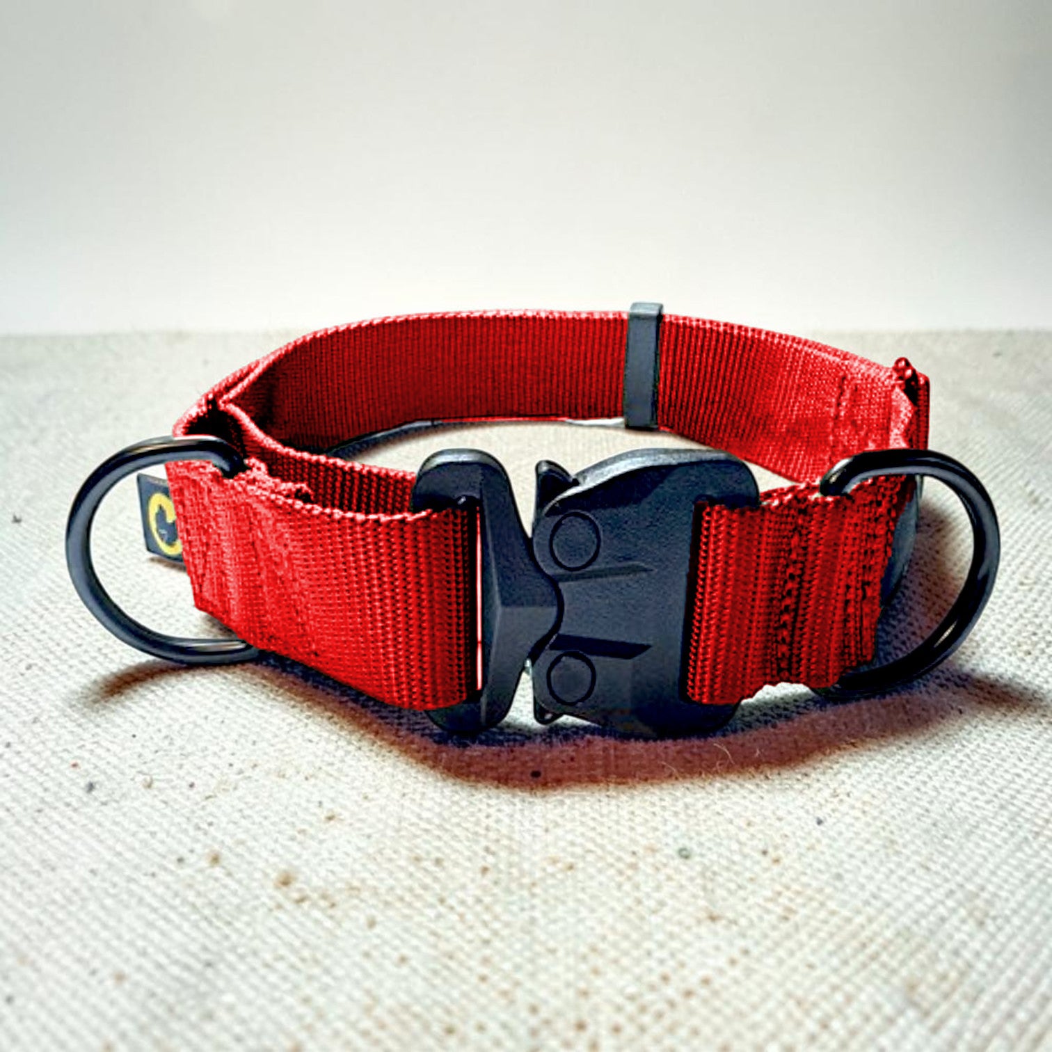 Red martingale dog collar with black buckle on a textured surface