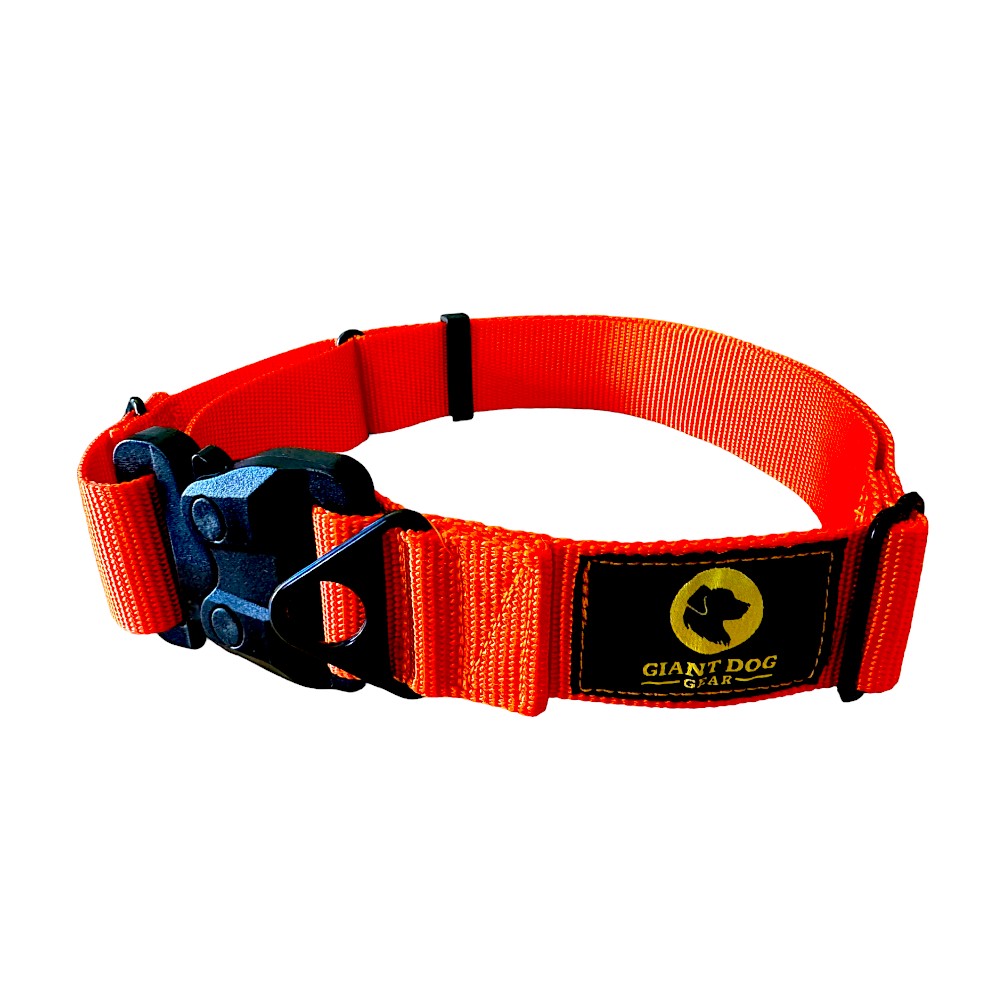 Hunter Orange Martingale Dog Collar Cobra Buckle Collar for Large Dogs