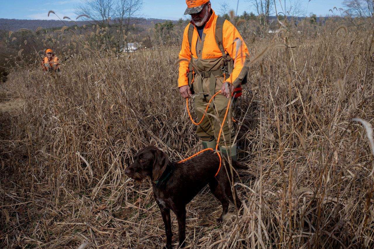 pointer dog wirehair pointer griffon pointer dog hunting dog training hunter and hunting dog training leash