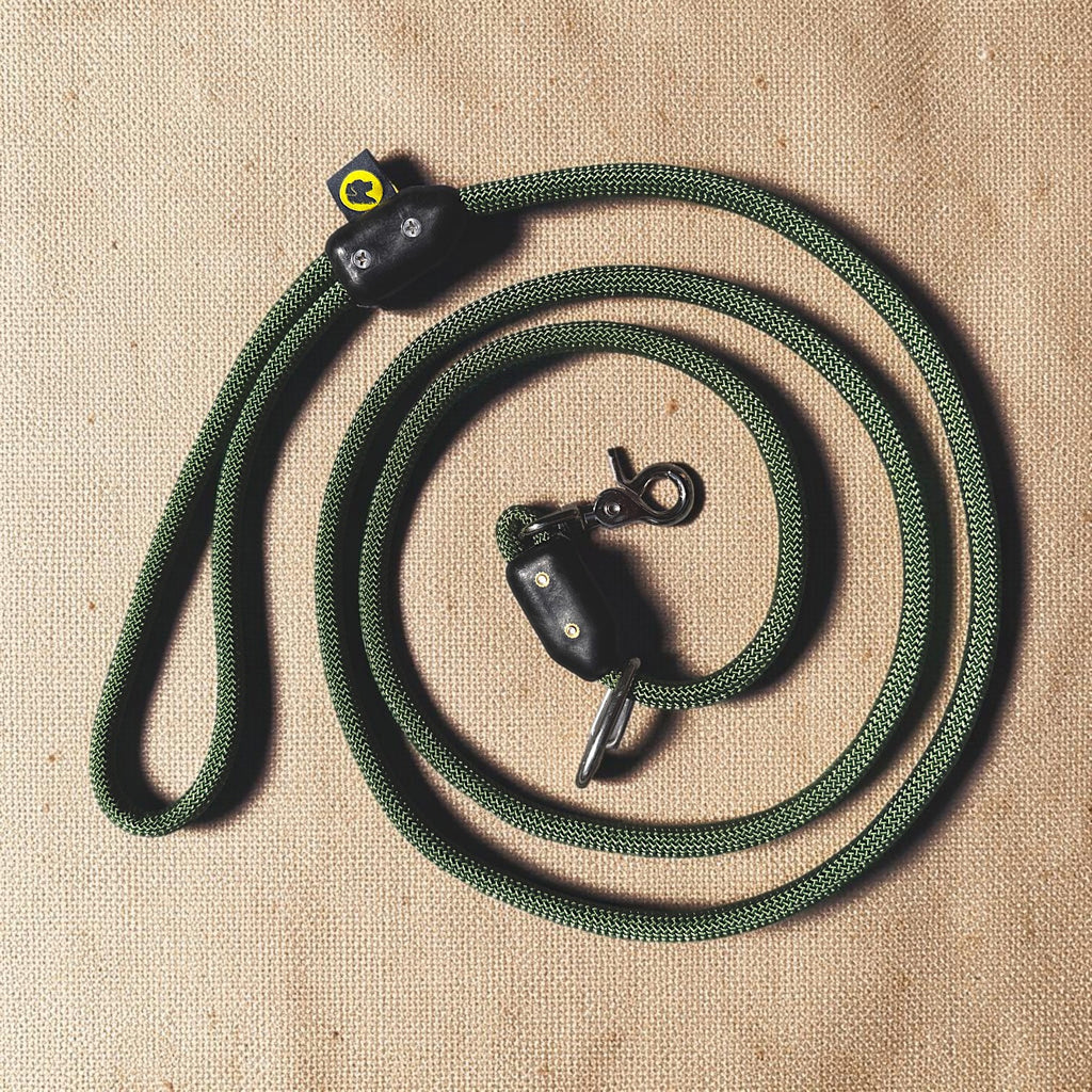 No Pull Dog Leash |  Versatile 5-in-1 Leash Harness System