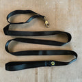 Lightweight Dog Leash with Control Handle for Small Dogs | Tiny Giant Dog Leash