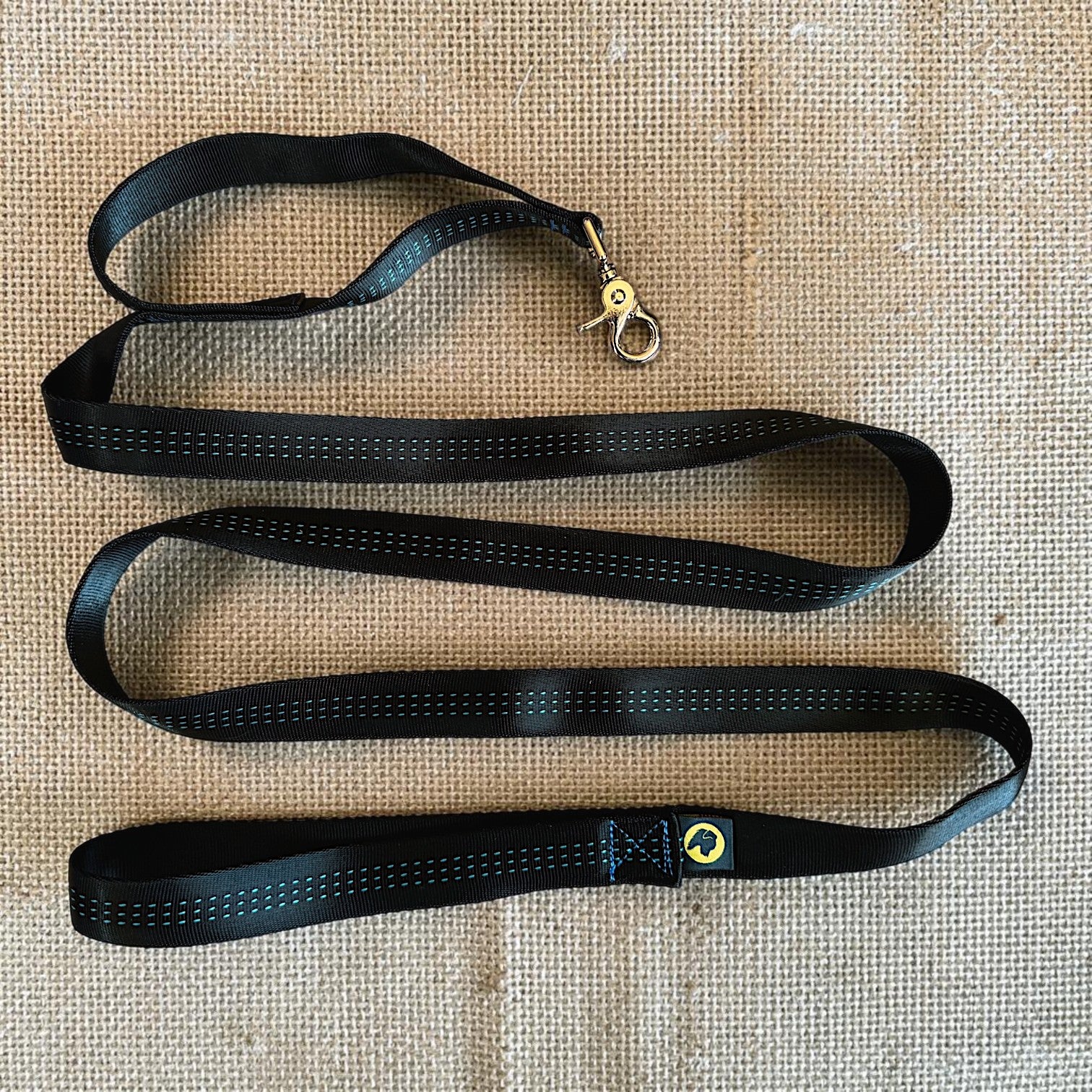 Lightweight Dog Leash with Control Handle for Small Dogs | Tiny Giant Dog Leash