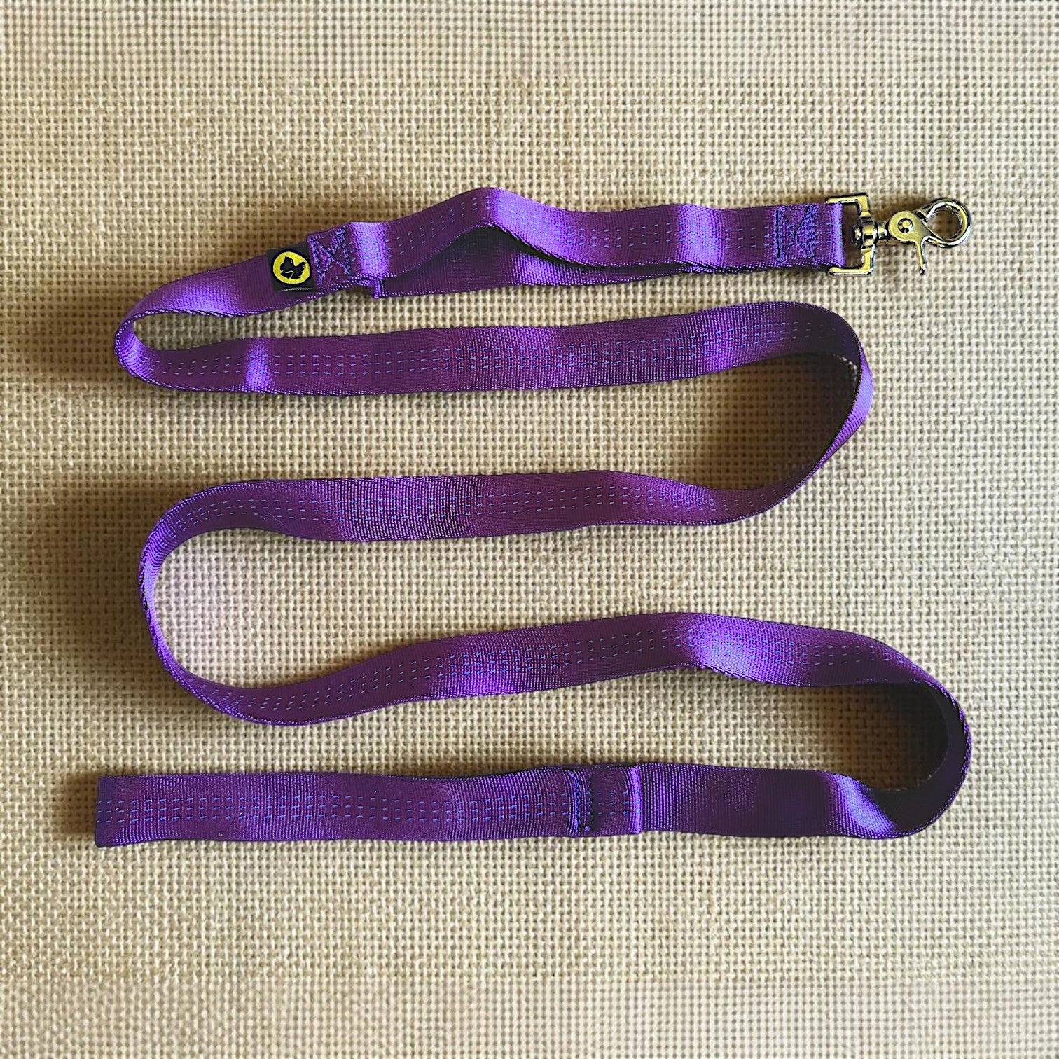 Lightweight Dog Leash with Control Handle for Small Dogs | Tiny Giant Dog Leash