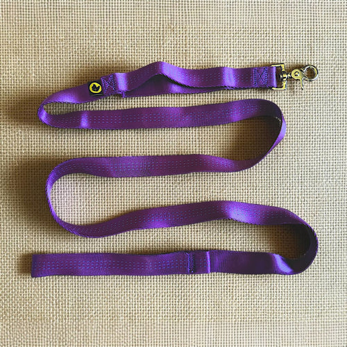 Lightweight Dog Leash with Control Handle for Small Dogs | Tiny Giant Dog Leash