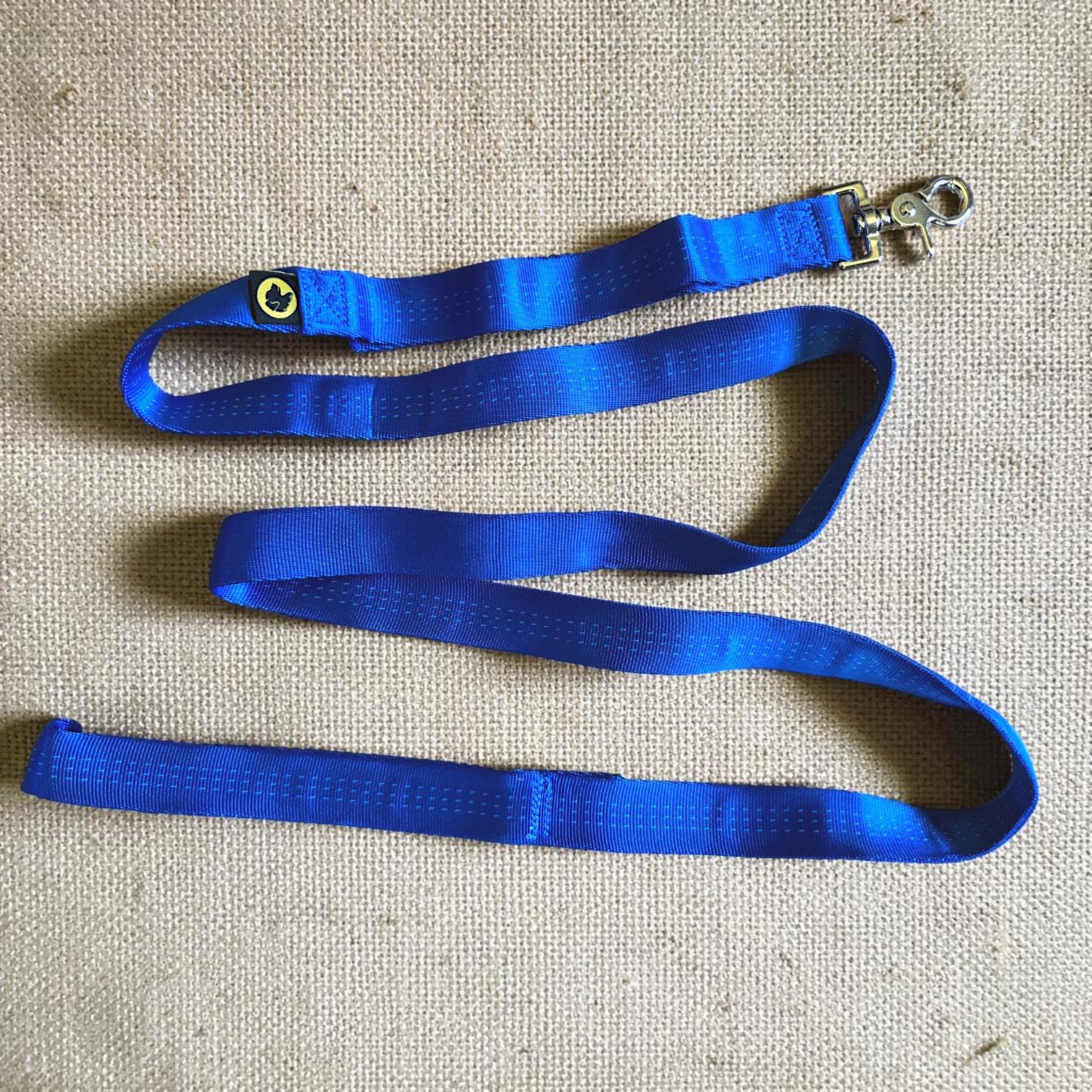 Lightweight Dog Leash with Control Handle for Small Dogs | Tiny Giant Dog Leash