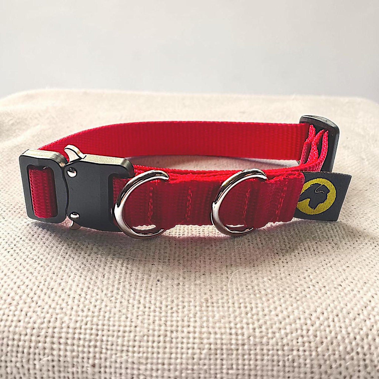 Tiny Giant Small Dog Collar – Durable & Strong for Dogs That Think They’re Big