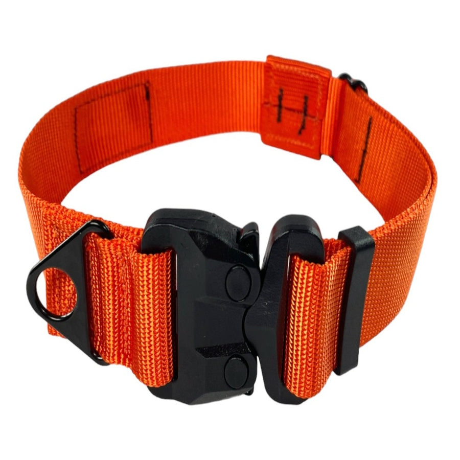 orange dog collar for large dogs large dog collar giant dog collar adjustable collar for giant breed dogs