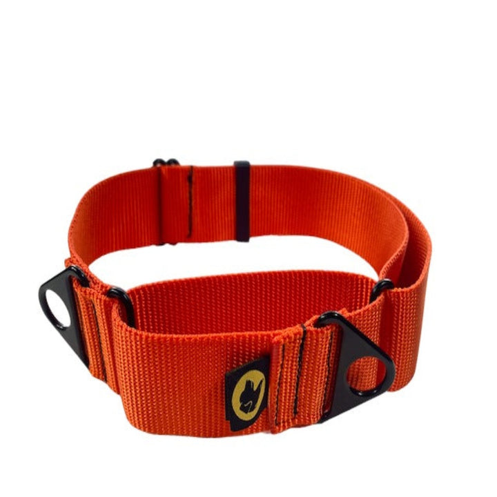 orange martingale dog collar large dogs adjustable collar martingale collar for giant dog