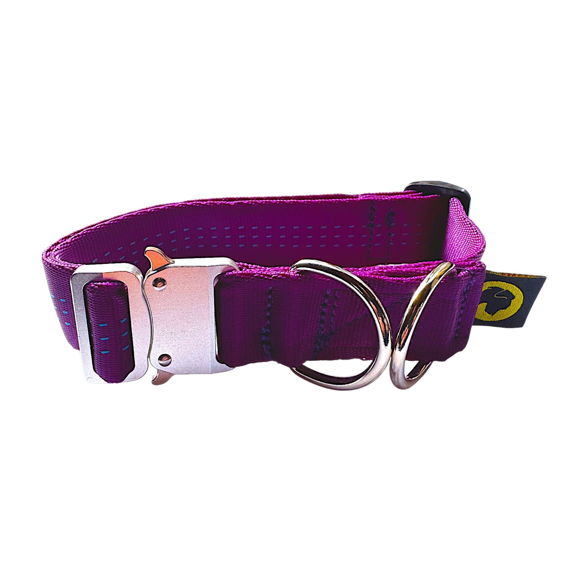 Purple dog collar for small dogs 