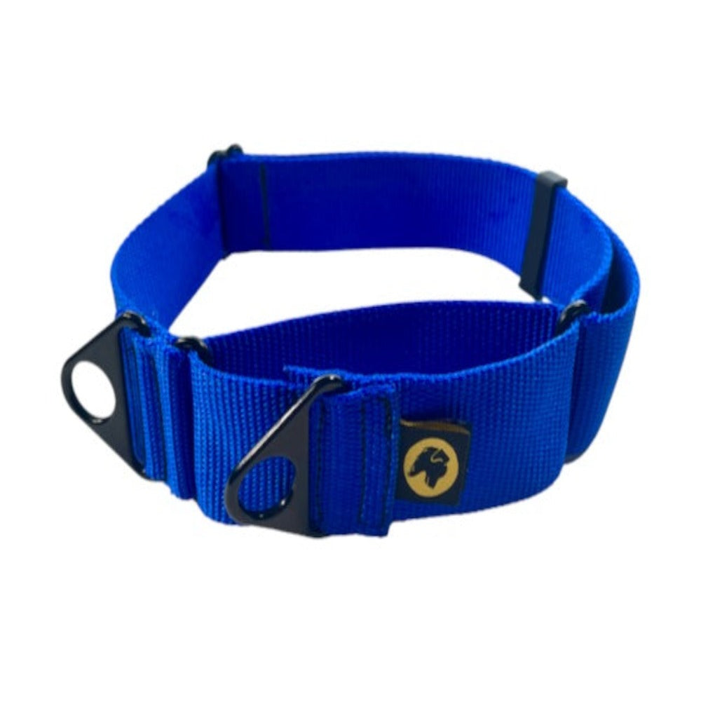 royal blue  martingale dog collar large dogs adjustable collar martingale collar for giant dog  