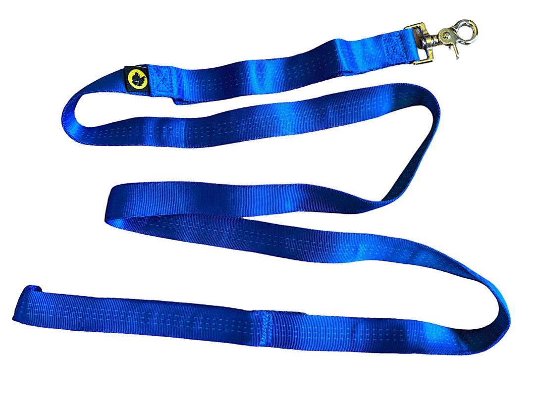 royal blue webbing dog leash tubular webbing dog leash with traffic loop and stainless steep clip