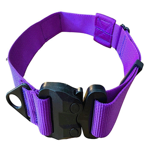 Heavy duty royal purple dog collar for large dogs with strong buckle