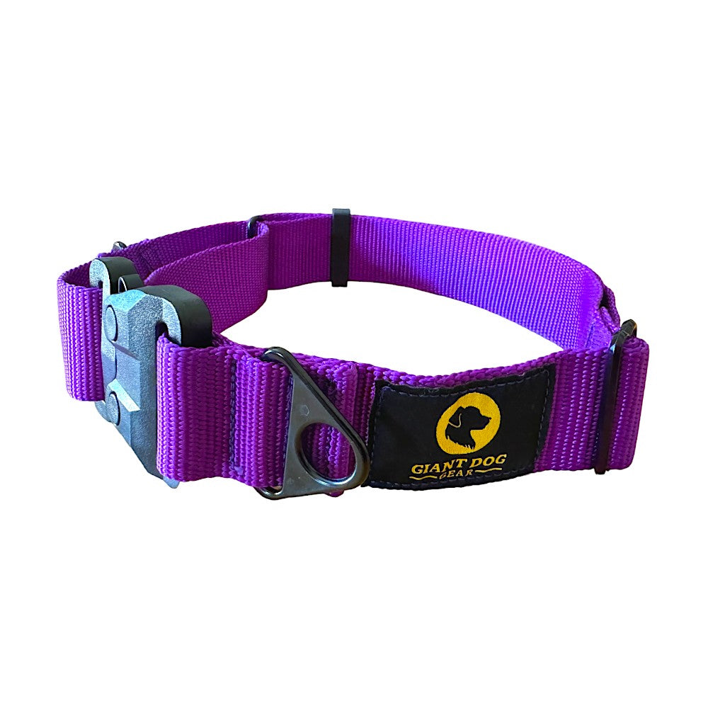 Royal Purple Martingale Dog Collar Cobra Buckle Collar for Large Dogs