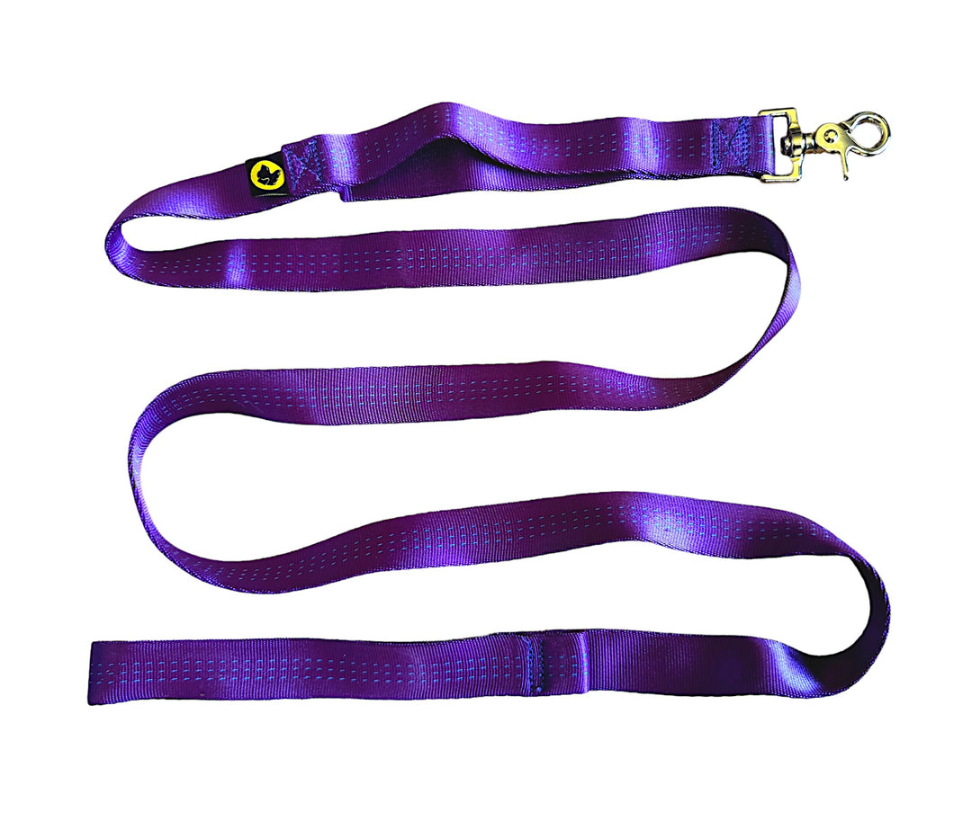 royal purple webbing dog leash tubular webbing dog leash with traffic loop and stainless steep clip