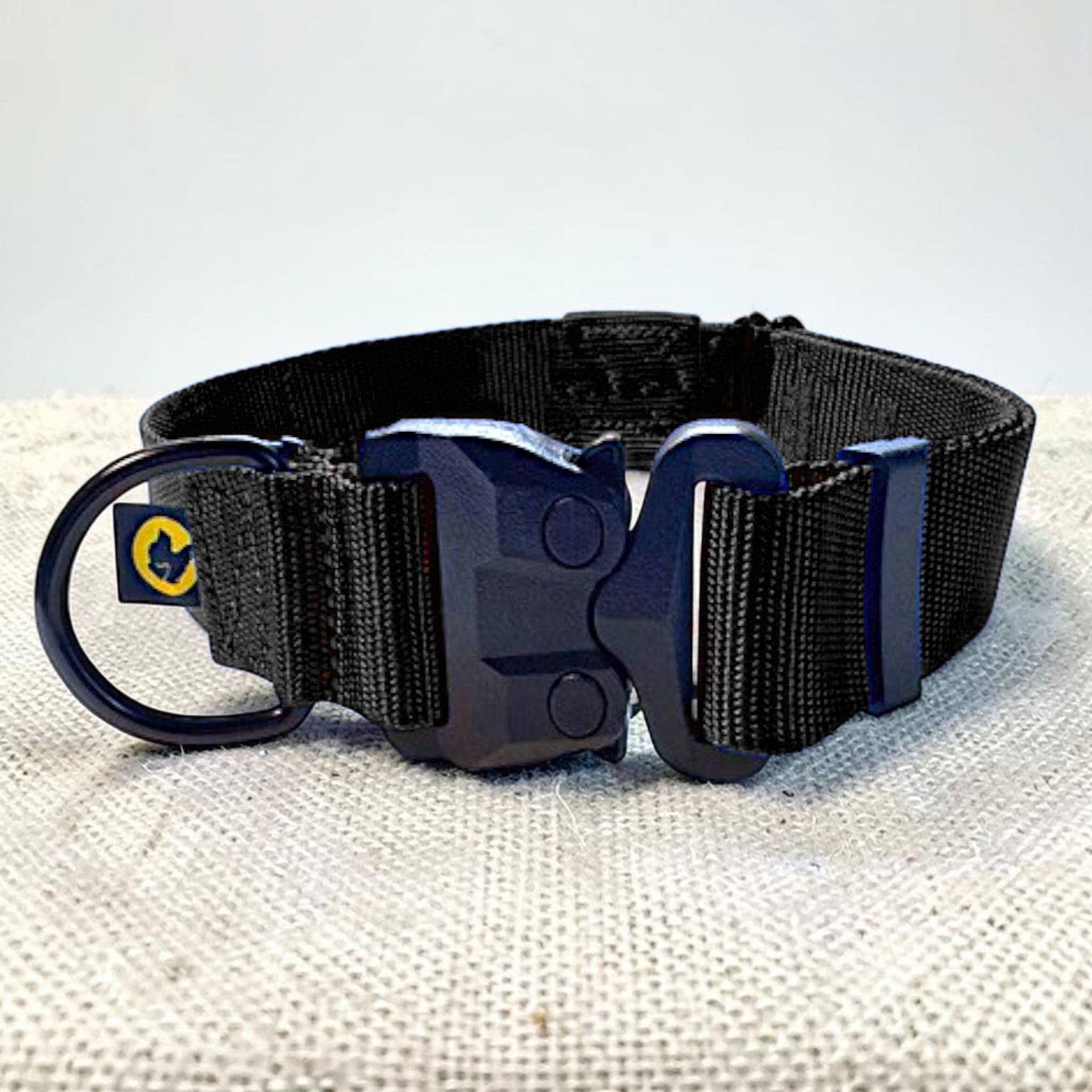 Black dog collar with a black buckle on a textured white surface