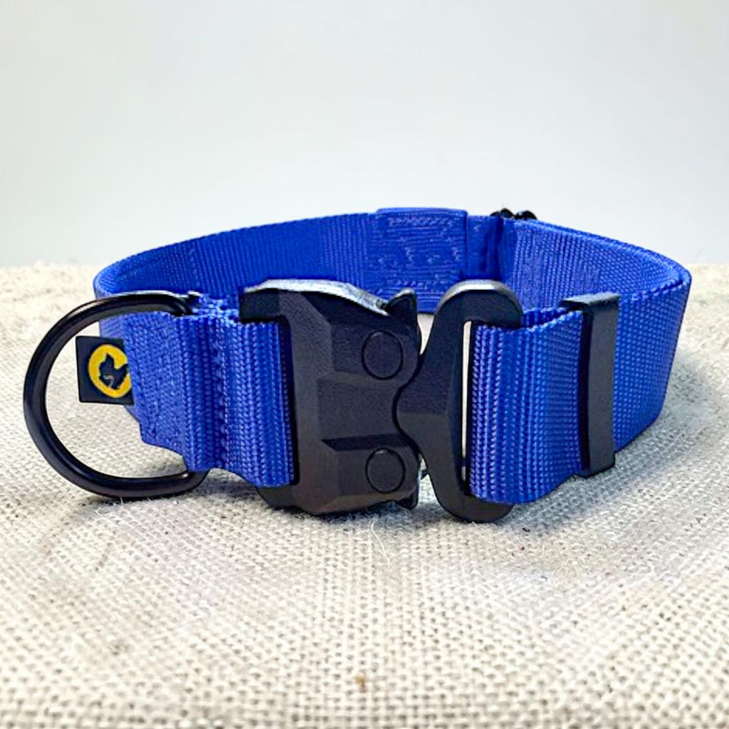 Blue heavy duty dog collar with a strong black buckle on a burlap fabric surface
