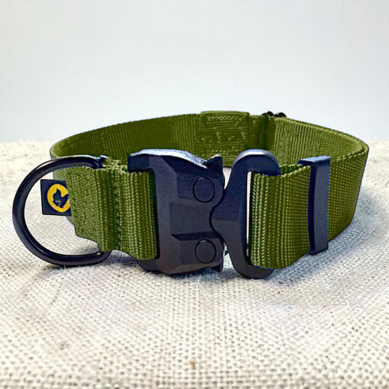 Green heavy duty dog collar with a black buckle on a textured surface