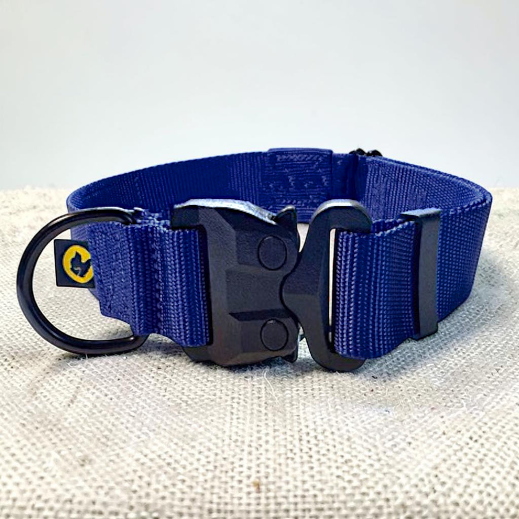Navy Blue heavy duty dog collar with a strong black buckle on a textured surface