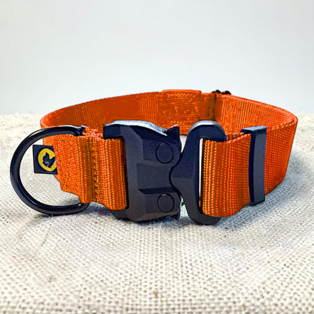 Orange heavy duty dog collar with a strong black buckle on a textured surface