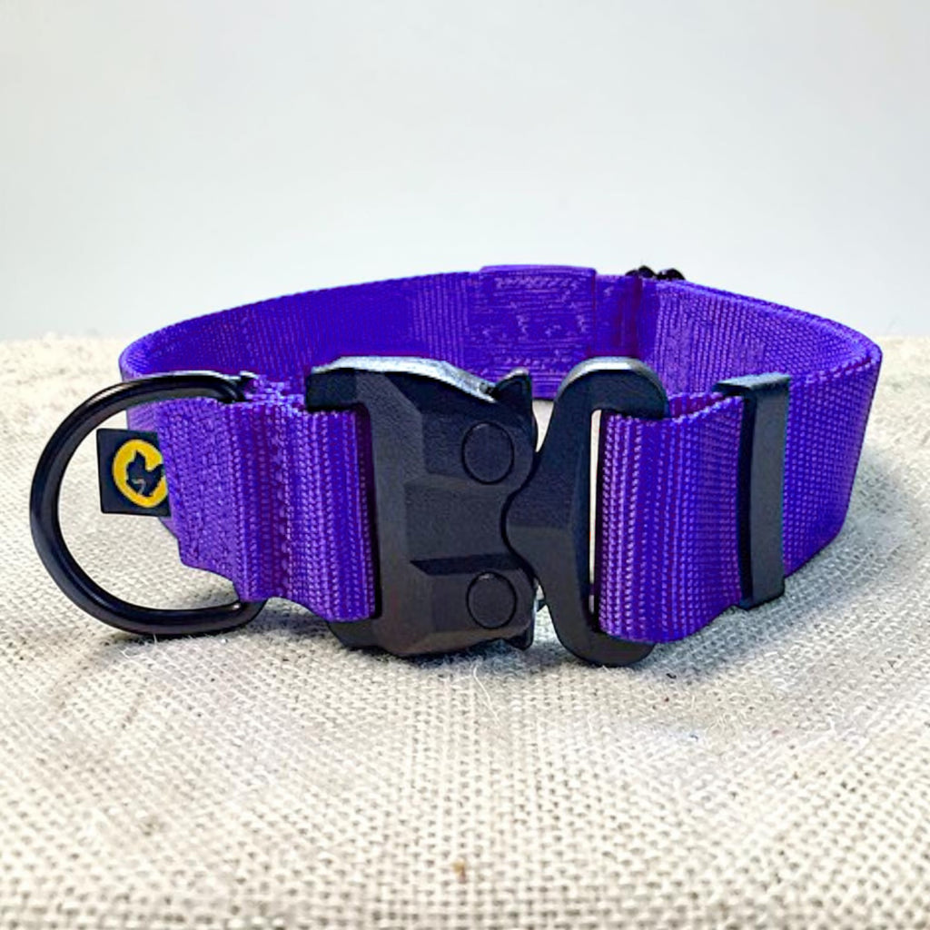 Purple dog collar with a black buckle on a textured surface