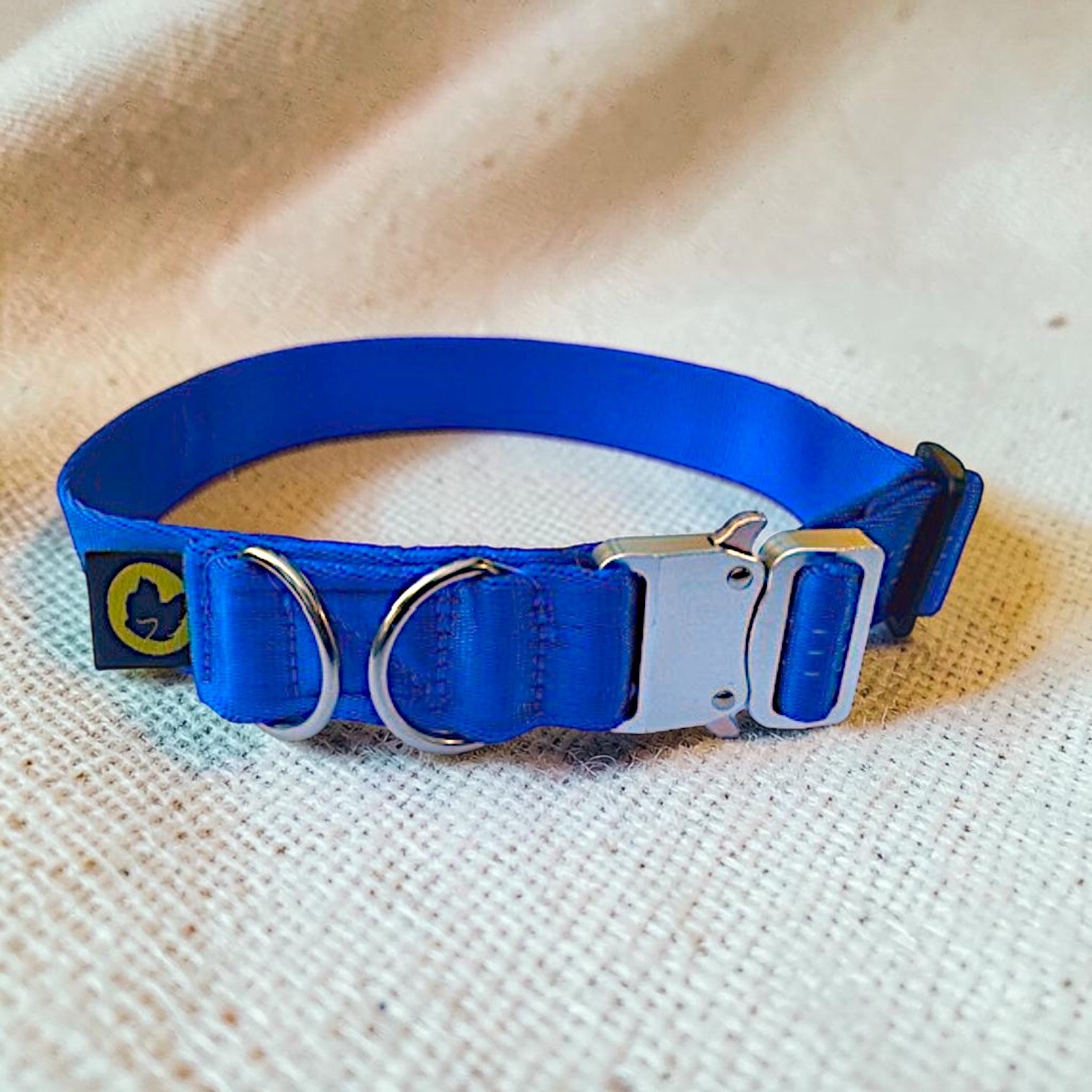 Tiny Giant Small Dog Collar – Durable & Strong for Dogs That Think They’re Big