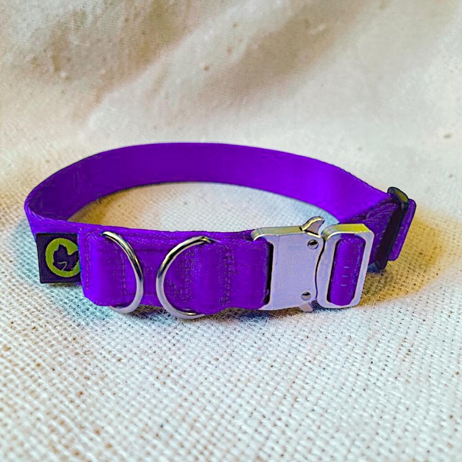 Tiny Giant Small Dog Collar – Durable & Strong for Dogs That Think They’re Big